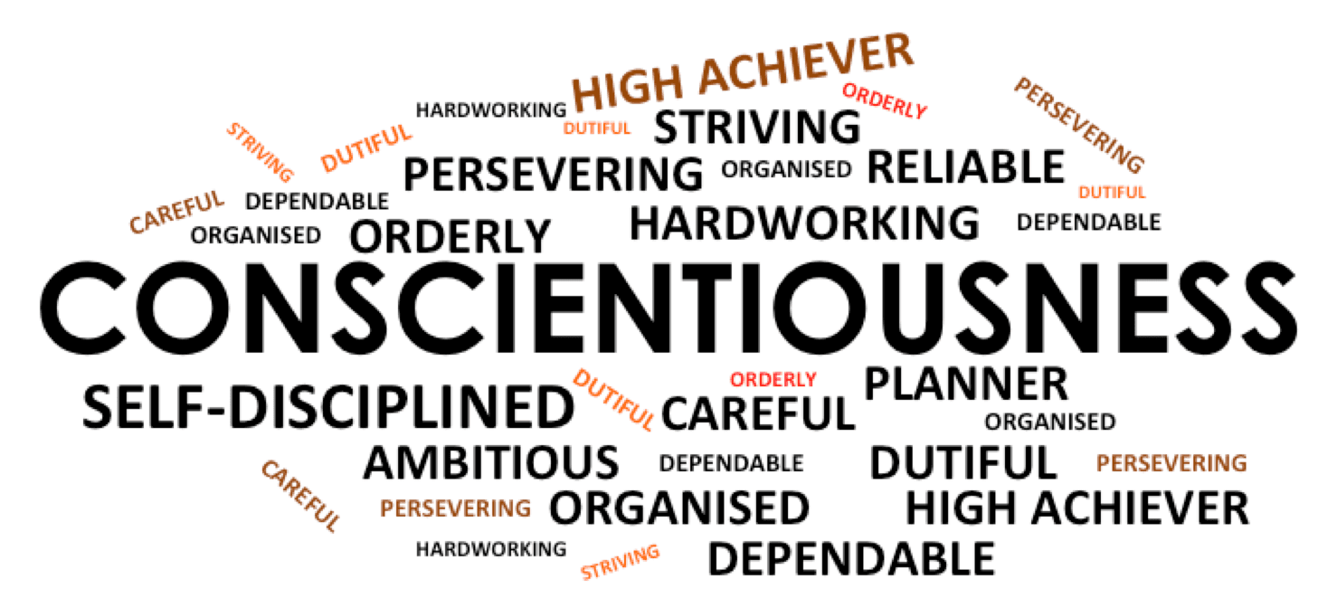 Are You Really Conscientious?